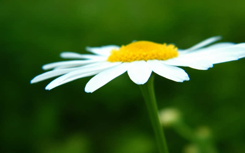 ��������ι��������ֵ���������벻���㡱