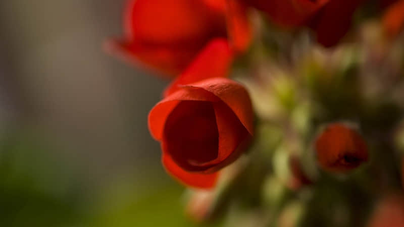 ��׼������һ���˵�ʱ������������