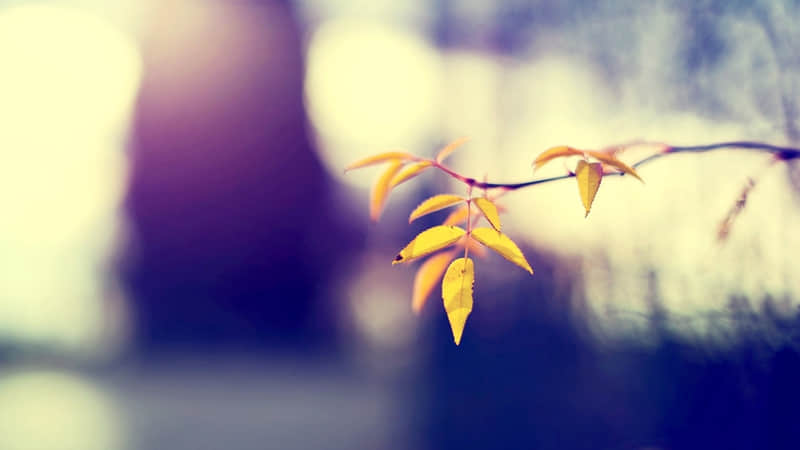 �� ��������ô�䣬�����㵽�� ��