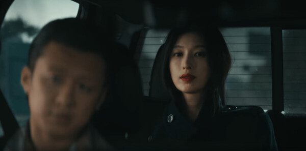 ����������20���������