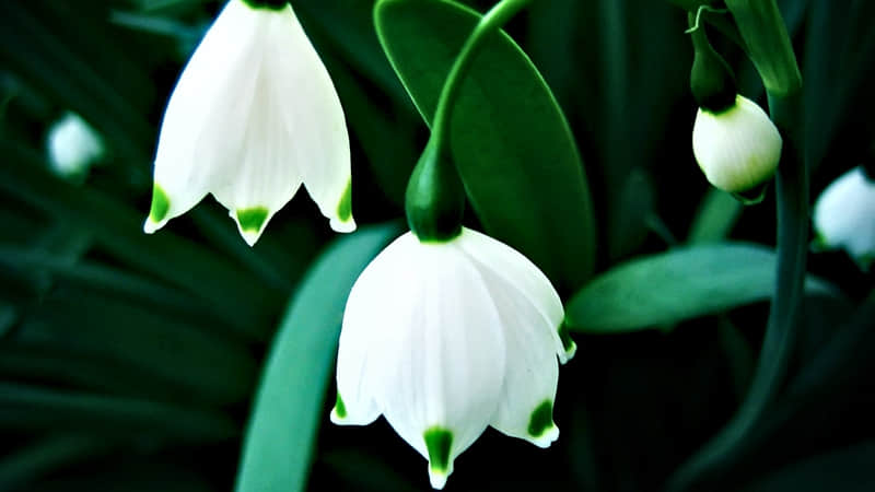 ������һ�䣬�����Լ�����??