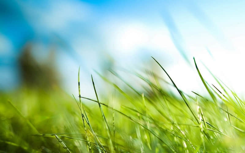 �����������Ի����������ȥЦʺ�������Ȧ��