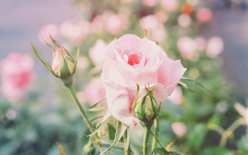 ������Ȧ������������������