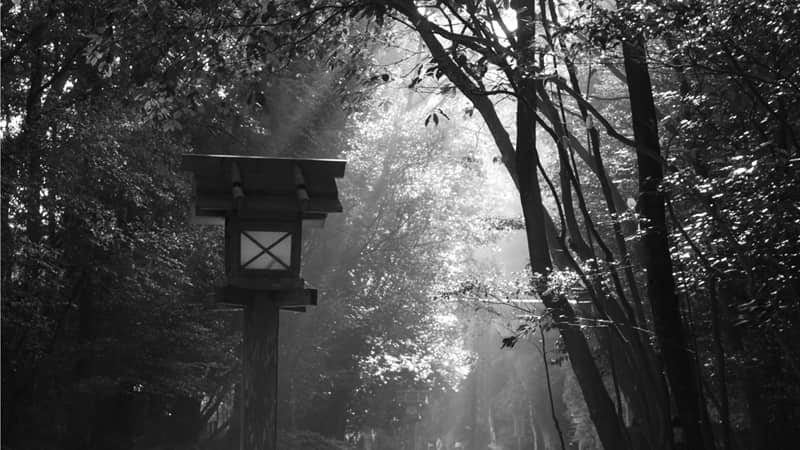 ����λ����ʺ������ˡ�