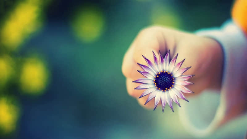 ���� | ������ô��������������??�A