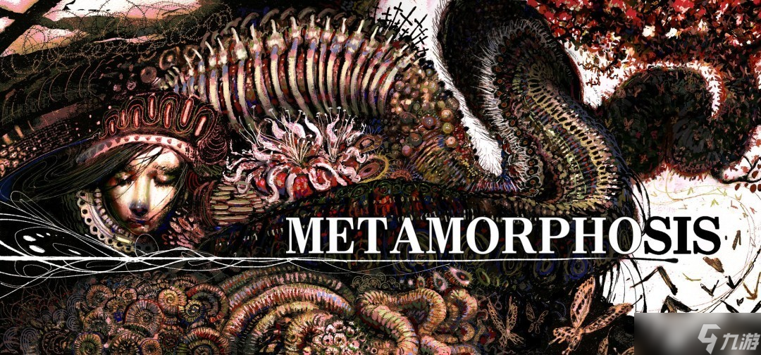 ���μ��������� ���ط������ֲ�̽��֮��