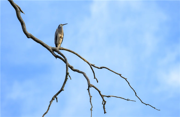 26.5΢��/�����ף�����PM2.5ƽ��Ũ�ȴﵽ��ʷͬ������