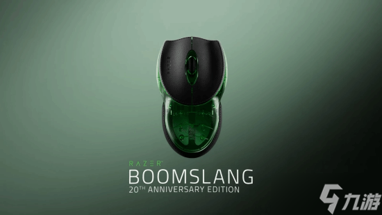 Boomslang 20���긴�̼���������Ϯ ���ߴ���ȫ������1337ֻ����ؿ�