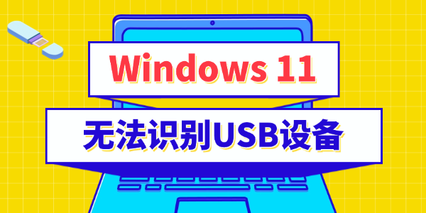 win11�޷�ʶ��USB�豸��ô��