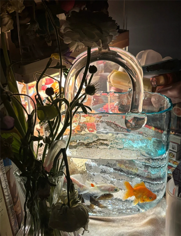 2025��������ܿ�ָ�ϣ�������������Ƽ� �������ʵ��