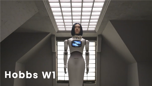 ���Ӷ���Hobbs W1���������㣺�沿������� �Ӵ�����������