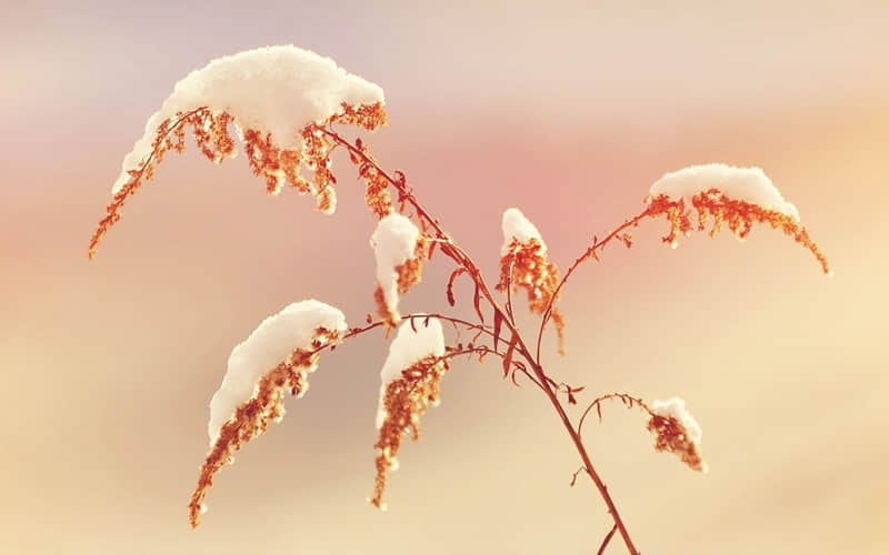 ��һ��Ů����ô����˵�����ܴ�����