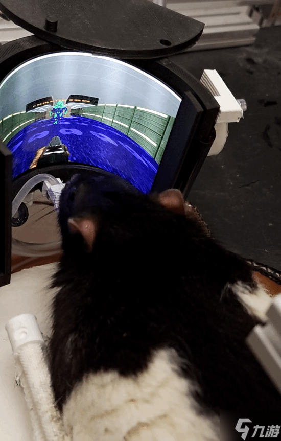 ��ѧ�ҿ����������澭��FPS��Ϸ������սʿ����VR�豸