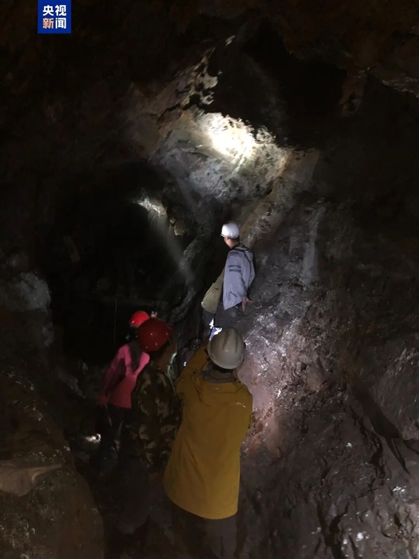 �ҹ�����ȫ�¿���������������