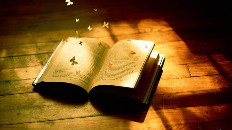 ��������ɣ����ɱ�衱