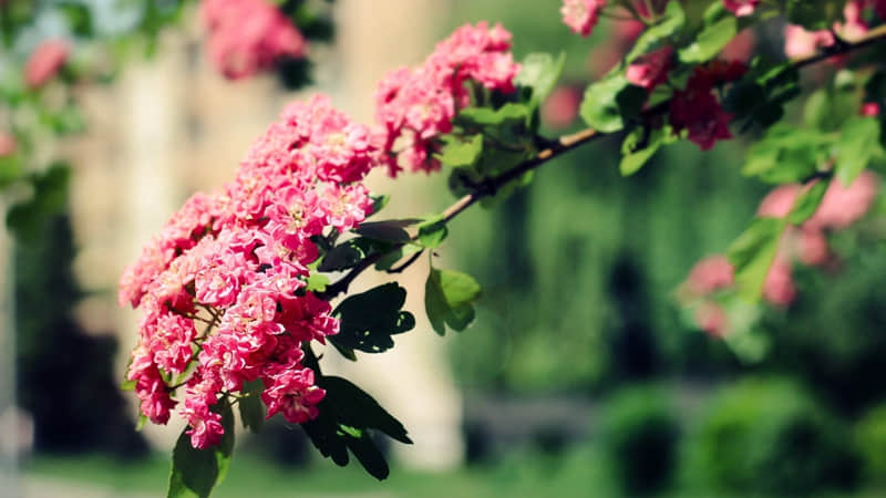 ����䷴�ǣ�������??��