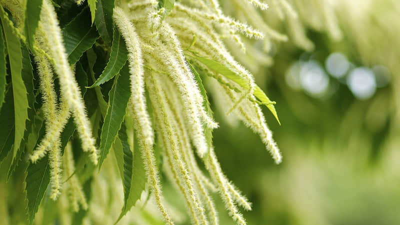 ��������ʱ��������ȥЦ��������Ȧ!��