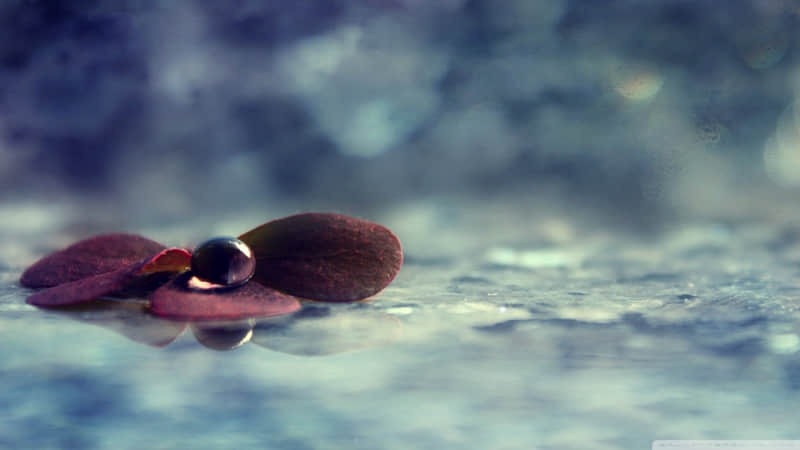 ����Խ��������������Խ������ǡ�