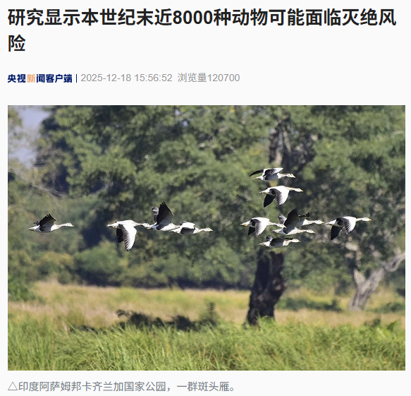 �о���ʾ������ĩ�� 8000 �ֶ�����������������