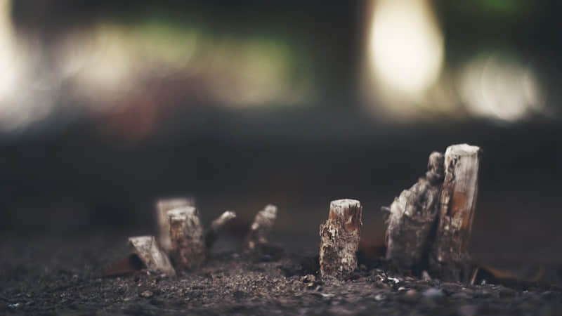 ��������æʱ���������ã���Ҫ������??��