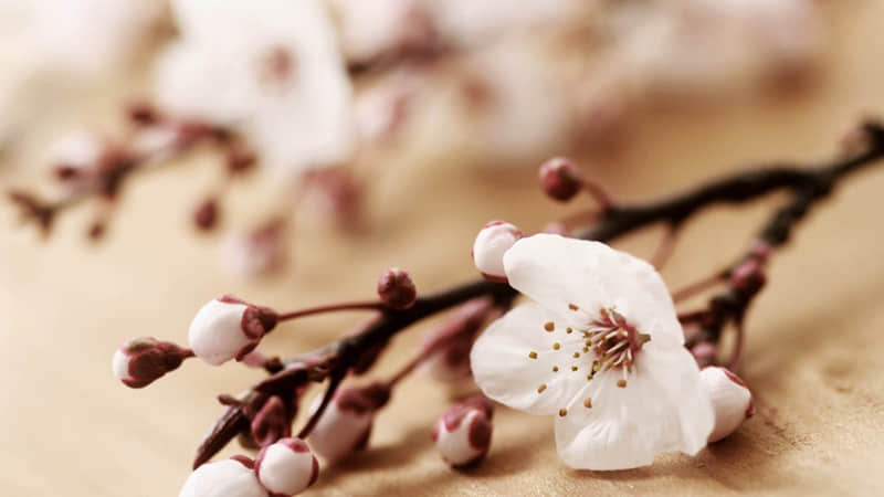 �����ﶼ�Ѳ����ĸ�Ц����6.0��