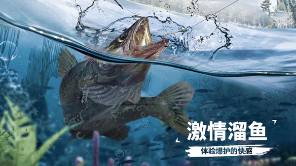 �����������Ϸ��ȫ