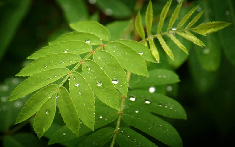 �������˵��İ��������˵�ټ���