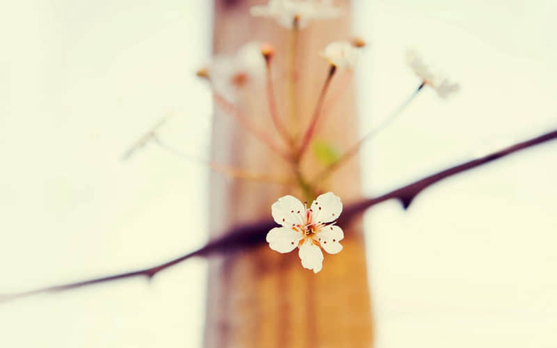 ����䲻����֣���䶼�Ƿ��֡�