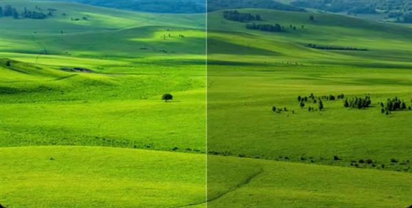 ������������2025��������ζ���һ̨���õ��ӡ�