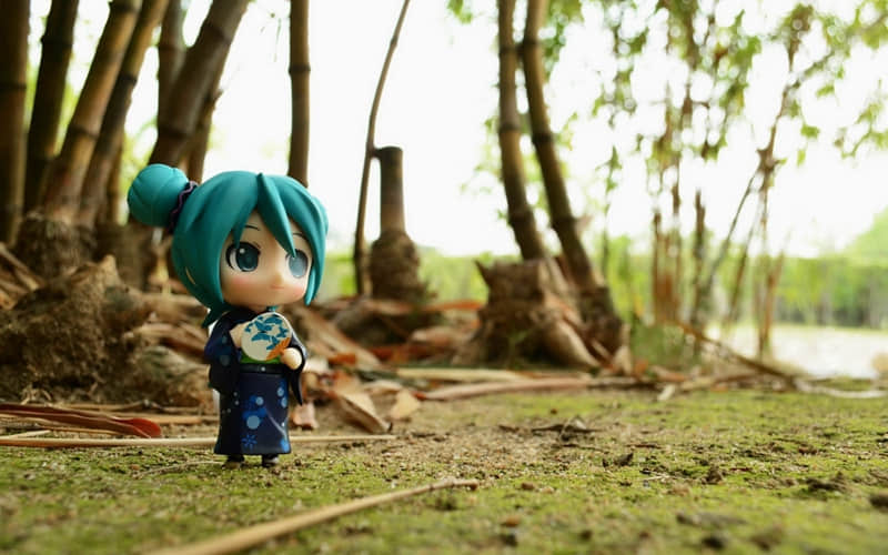 ��ɹ�Լ���Ƭ������Ȧ��Ҫ��������