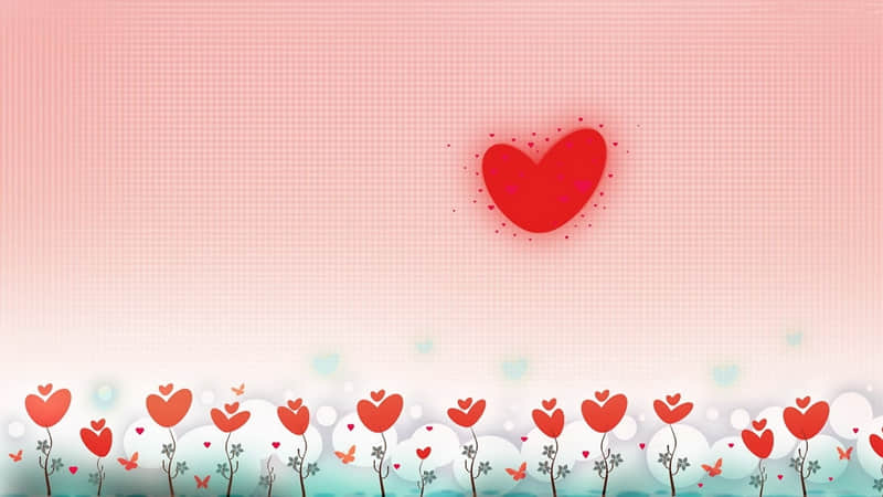 ��������������˼�������Ȱ������������˼����