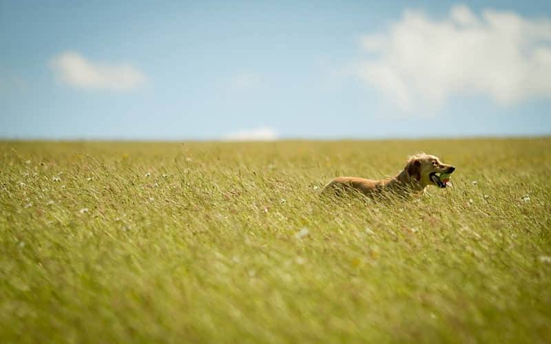 ��������ѣ������������