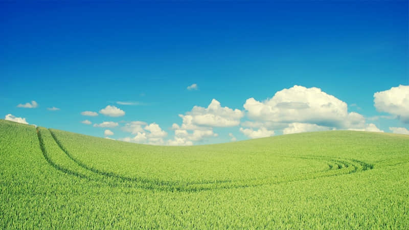 �������ˣ���������������ĺܳ���һ�ס�??