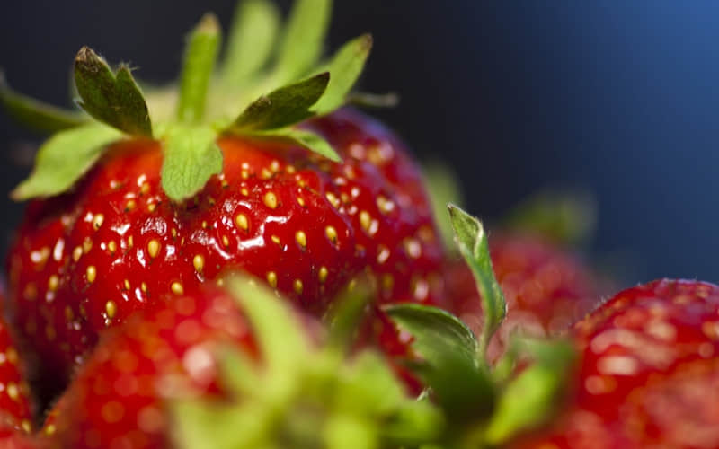 ��������û���ź���ֻ�зŴ��˵ط����ڴ���