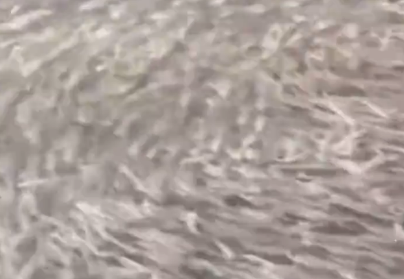 �ձ�����һ�ӵ�ӿ����Ⱥ�������������� �����ǵ���