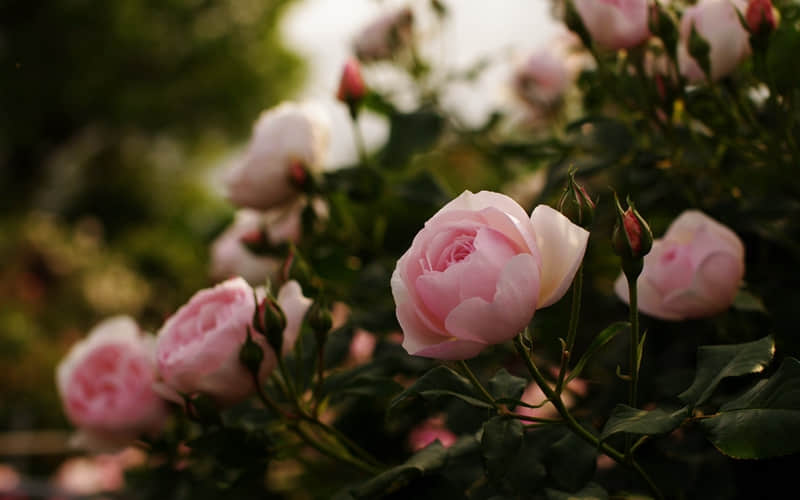 ��ѧ���������ˣ�������Խ��ͷ��