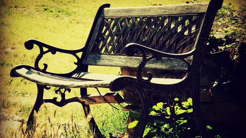 ����Ƥ��Ƿ��ĸ�Ц�ȹ����¸���Ȥ��