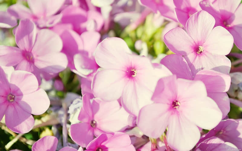 ��11�����һ�죬����Ȧһ��Ҫ��������