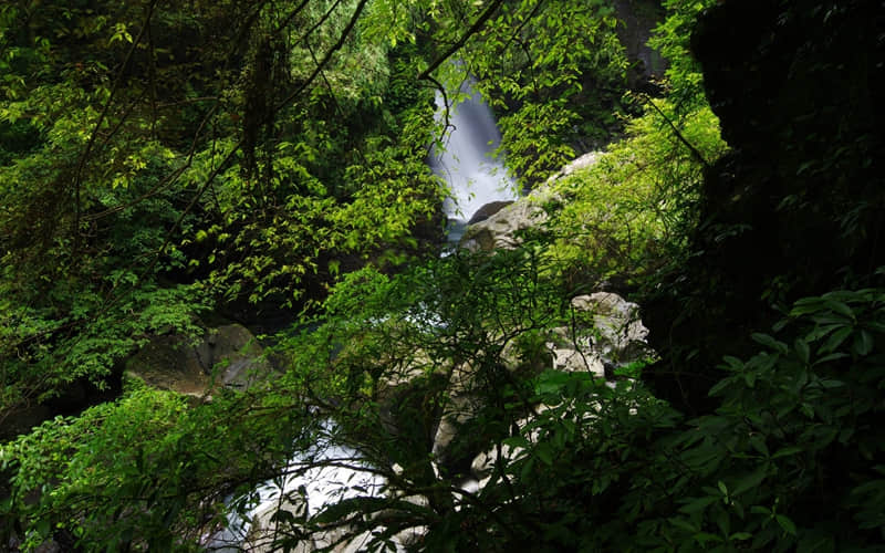 �������˵�����Ȧ���͸���������??