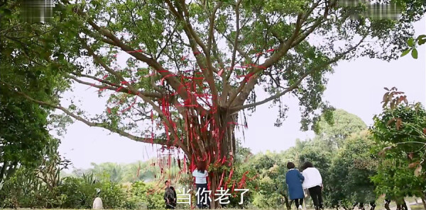 �װ������ǵ�37���������