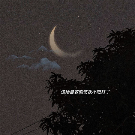 �˶���ͼƬ�˸���������(��ѡ100��)