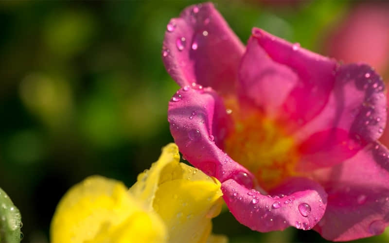 ����������Ȧ��̫�ио��ˡ�??