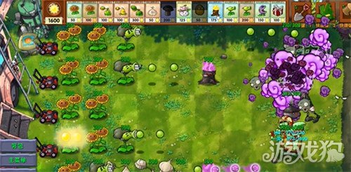 ֲ���ս��ʬ�ںϰ���������ô��