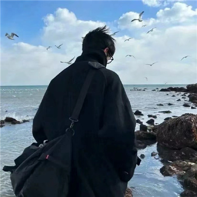 ��ʫ��Ľ�����������(��ѡ100��)