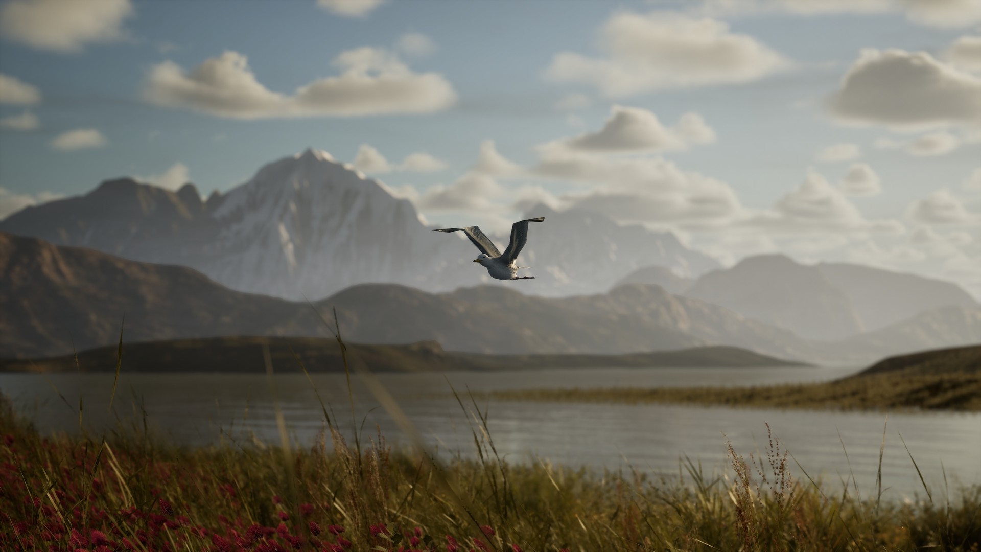 ��Ӱģ����ʲôʱ��� ��������ʱ��Ԥ��