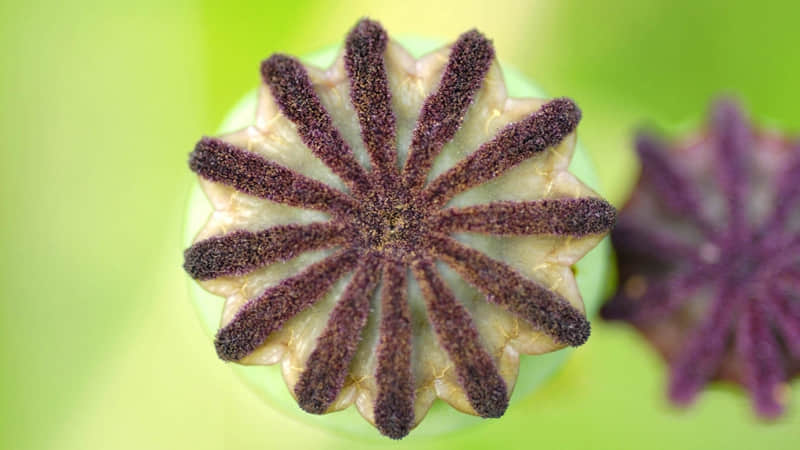 ������һ�䣬�����Լ�~��??