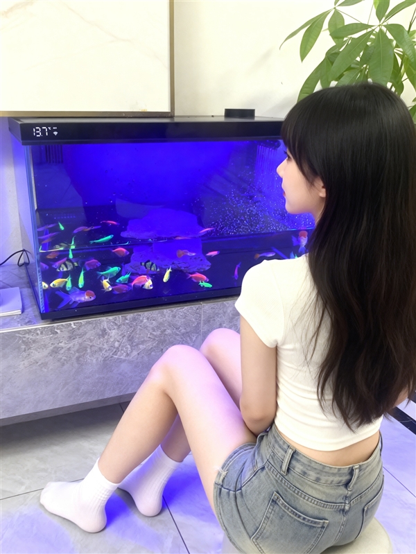 2026����������ؿ������������ôѡ �ܿ�ָ��+�������ʵ���Ƽ�