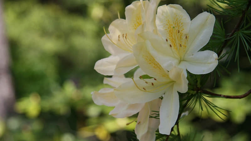 "12��1�����죬����Ȧһ��Ҫ���������ܾ���??"