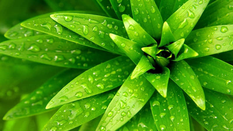 �����۰����ӣ�100������Ц�������ۡ�