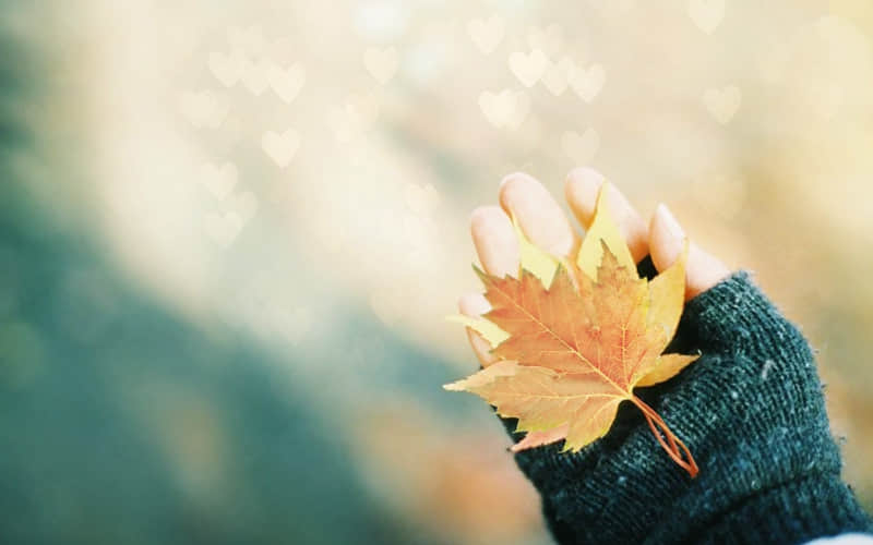 ��˵͸���ԣ�ֵ��ϸƷ�ľ��ӡ�